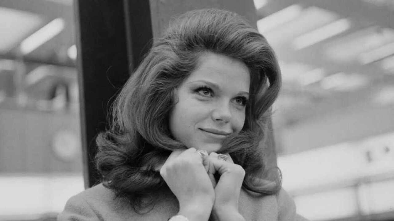 Samantha Eggar muore a 86 anni: la Miranda che conquistò Cannes Samantha Eggar muore a 86 anni: la Miranda che conquistò Cannes