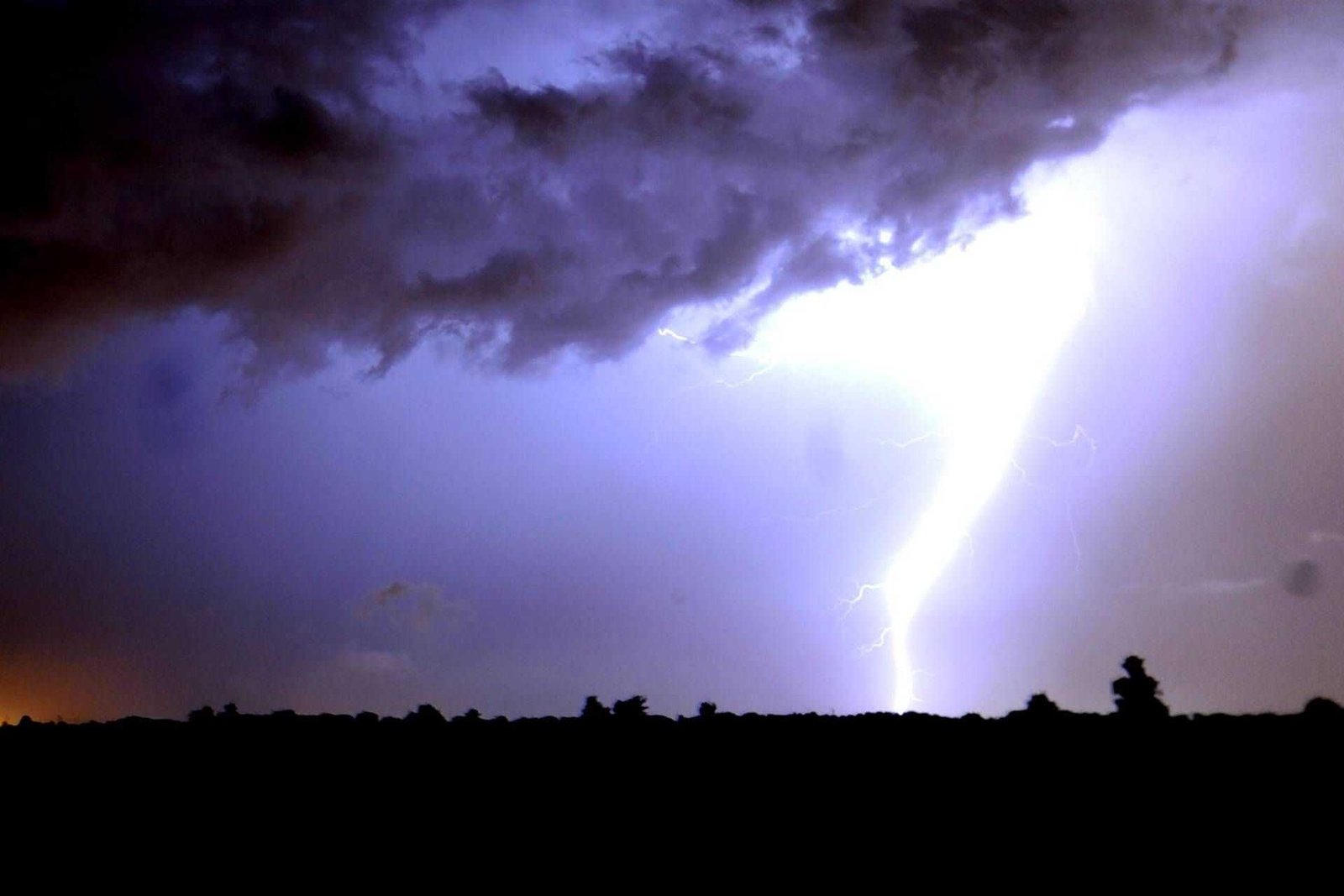 Nubifragio all’alba sulla Riviera romagnola, vie allagate e pini a terra
