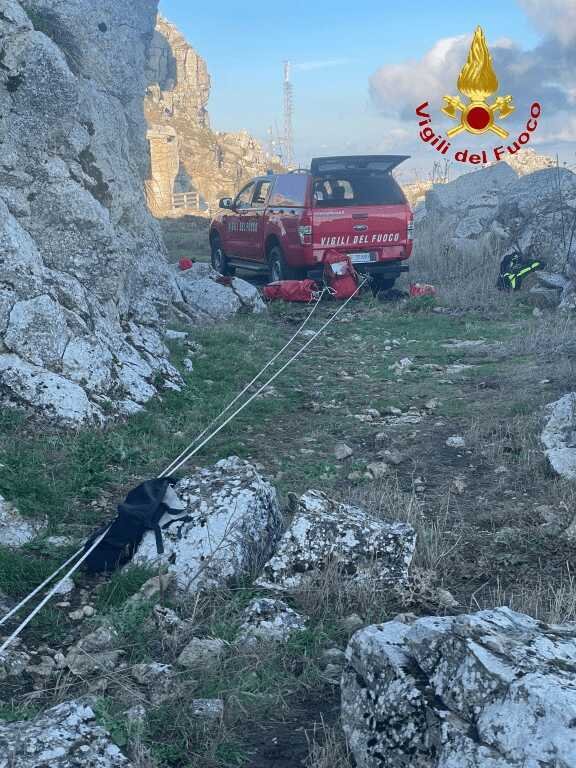 Alba sul Monte Kumeta: vigili del fuoco in corda salvano un cane stremato